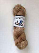Load image into Gallery viewer, February - Bird of the Month Sock Yarn Club