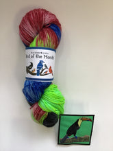 Load image into Gallery viewer, January - Bird of the Month Yarn Club - Toucan