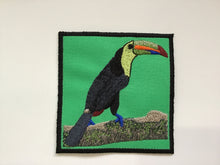 Load image into Gallery viewer, January - Bird of the Month Yarn Club - Toucan