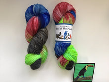 Load image into Gallery viewer, January - Bird of the Month Yarn Club - Toucan
