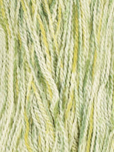 Load image into Gallery viewer, Andeamo Lite Painted by JODY LONG