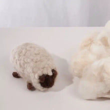 Load image into Gallery viewer, Junior Shepherd Needle Felting Kit
