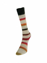 Load image into Gallery viewer, Art Sock by Laines du Nord