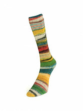 Load image into Gallery viewer, Eclectic Sock by Laines du Nord
