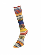 Load image into Gallery viewer, Eclectic Sock by Laines du Nord