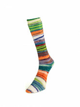 Load image into Gallery viewer, Eclectic Sock by Laines du Nord