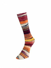 Load image into Gallery viewer, Eclectic Sock by Laines du Nord