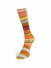 Load image into Gallery viewer, Eclectic Sock by Laines du Nord