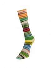 Load image into Gallery viewer, Eclectic Sock by Laines du Nord