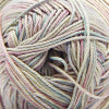 Load image into Gallery viewer, Pandamonium Multis by Cascade Yarns