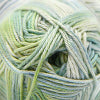 Load image into Gallery viewer, Pandamonium Multis by Cascade Yarns