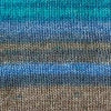 Load image into Gallery viewer, Evolution Sock by Estelle Yarns