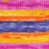 Load image into Gallery viewer, Evolution Sock by Estelle Yarns