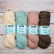 Load image into Gallery viewer, Highland Alpaca Chunky by Estelle Yarns