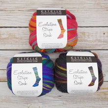 Load image into Gallery viewer, Evolution Stripe Sock by Estelle Yarns