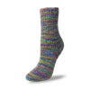 Load image into Gallery viewer, Flotte Sock 4ply Circus by Rellana Garne