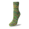 Load image into Gallery viewer, Flotte Sock 4ply Circus by Rellana Garne