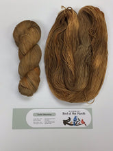 Load image into Gallery viewer, July - Bird of the Month Yarn Club