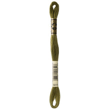 Load image into Gallery viewer, DMC floss colors 3011 - 3799