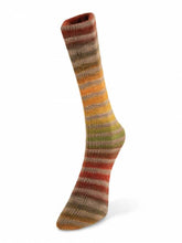 Load image into Gallery viewer, LAINES DU NORD Paint Sock