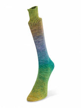 Load image into Gallery viewer, LAINES DU NORD Watercolor Sock