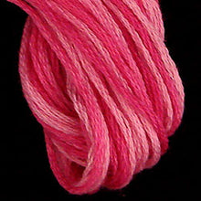 Load image into Gallery viewer, Valdani Cotton Floss 6-Ply
