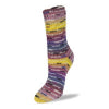 Load image into Gallery viewer, Flotte Sock Patagonia