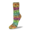 Load image into Gallery viewer, Flotte Sock Patagonia