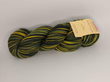 Load image into Gallery viewer, Diamond Luxury Soxy Lady
