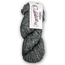 Load image into Gallery viewer, Cantata by Cascade Yarns