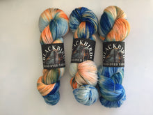 Load image into Gallery viewer, Blackbird Yarns Sock Yarn
