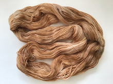 Load image into Gallery viewer, February - Bird of the Month Sock Yarn Club

