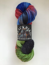 Load image into Gallery viewer, Blackbird Yarns Sock Yarn
