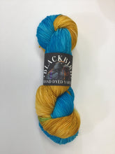 Load image into Gallery viewer, Blackbird Yarns Sock Yarn
