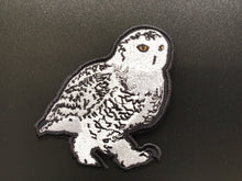 Load image into Gallery viewer, May - Bird of the Month Yarn Club
