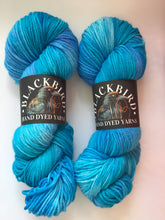 Load image into Gallery viewer, Blackbird Yarns Sock DK
