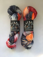 Load image into Gallery viewer, Blackbird Yarns Sock Yarn
