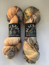 Load image into Gallery viewer, Blackbird Yarns Sock Yarn
