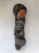 Load image into Gallery viewer, Blackbird Yarns Sock Yarn
