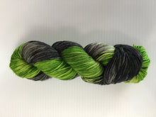 Load image into Gallery viewer, Blackbird Yarns Sock Yarn
