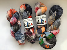 Load image into Gallery viewer, March - Bird of the Month Yarn Club
