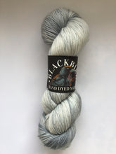 Load image into Gallery viewer, Blackbird Yarns Sock Yarn
