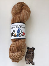 Load image into Gallery viewer, February - Bird of the Month Sock Yarn Club

