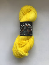 Load image into Gallery viewer, Blackbird Yarns Sock Yarn
