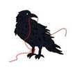 Black bird with red string in mouth and around ankle