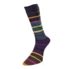 Load image into Gallery viewer, Evolution Stripe Sock by Estelle Yarns
