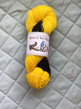 Load image into Gallery viewer, May - Bird of the Month Yarn Club
