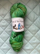 Load image into Gallery viewer, March - Bird of the Month Yarn Club
