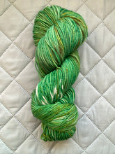 Load image into Gallery viewer, March - Bird of the Month Yarn Club
