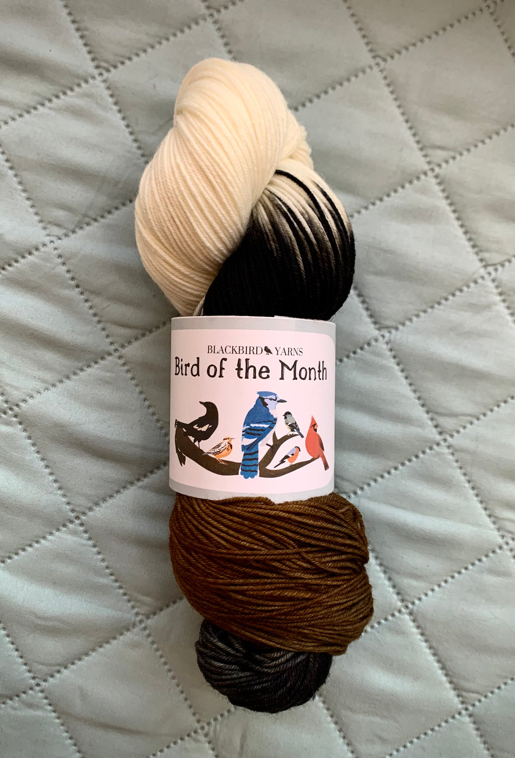 February - Bird of the Month Sock Yarn Club